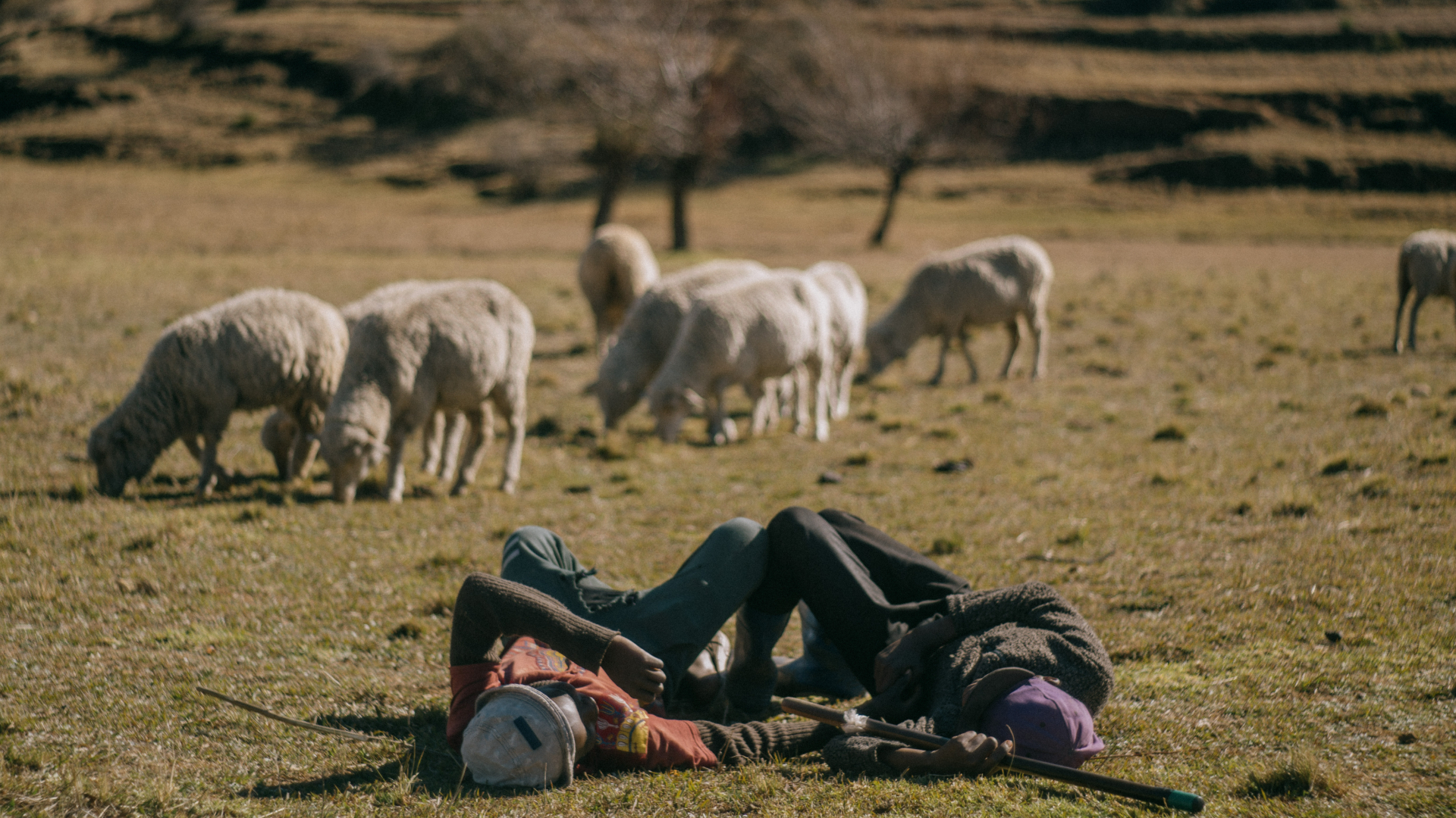 Naheng: The World Where Intimacy Between Men Transcends Monolithic Politics of Sexuality In Lesotho